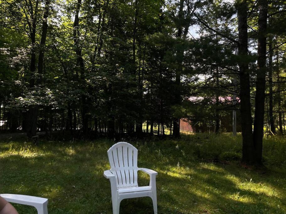 Willa Muskoka Manor Dwight Zewnętrze zdjęcie